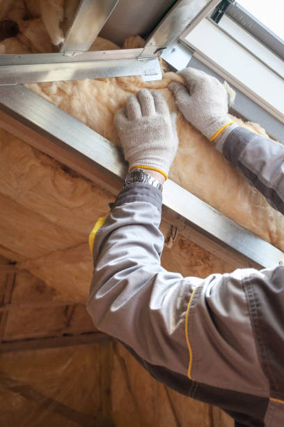 Best Insulation Maintenance and Repair in Sanger, CA